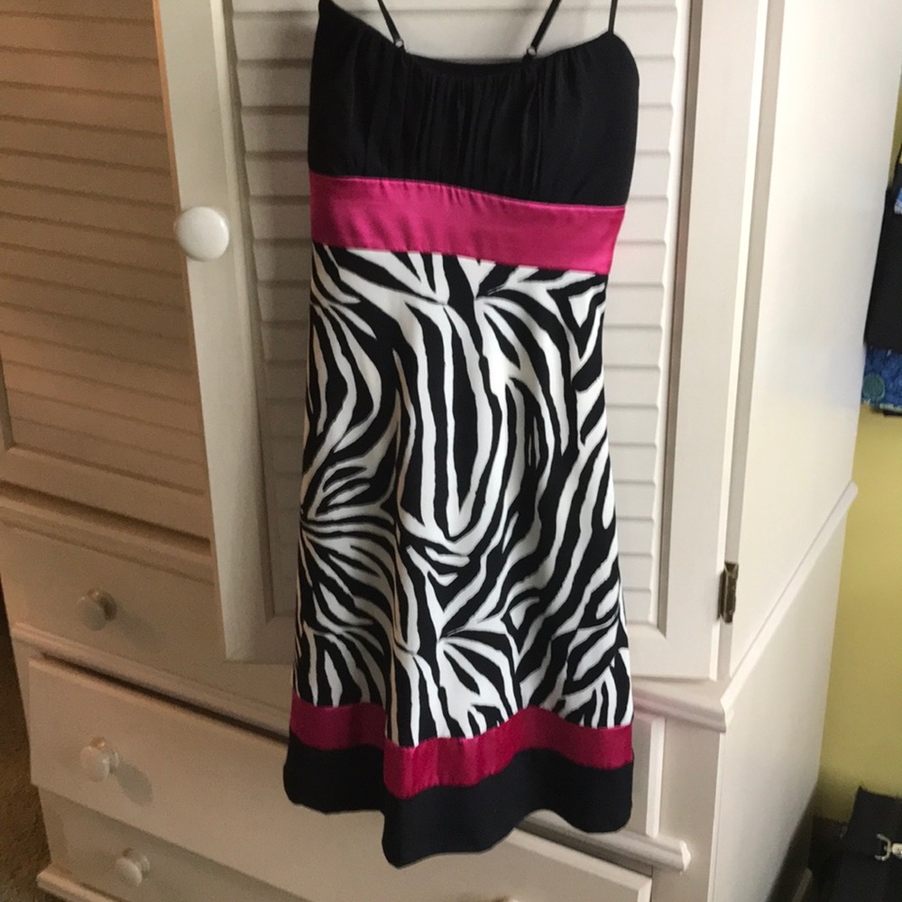 Hot pink/black zebra print dress